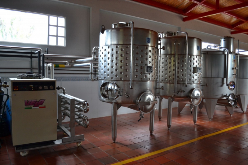 cave-BRIGNOLES-min_wine_production_cantine_winery_drink_alcohol_vine_beverage-902036